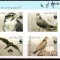 KIRGHIZSTAN, K&Acirc;RG&Acirc;ZSTAN, Kyrgyzstan 2009 Fauna, WWF, serie neuzata, MNH