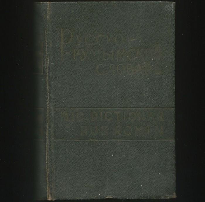 MIC DICȚIONAR RUS-ROM&Acirc;N
