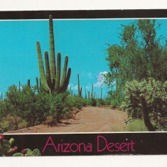 US1 - Carte Postala - USA - Arizona Desert , circulata 1990