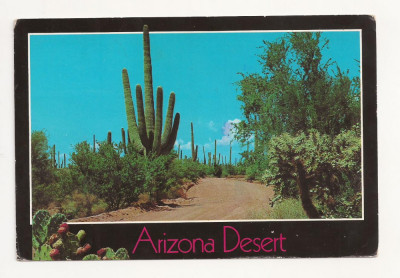 US1 - Carte Postala - USA - Arizona Desert , circulata 1990 foto