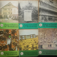 Colectia Revista Apicultura In Romania pe anul 1989