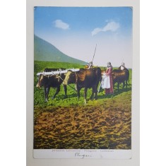 IERUSALIM , PLUGARI , CARTE POSTALA , INTERBELICA