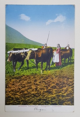 IERUSALIM , PLUGARI , CARTE POSTALA , INTERBELICA foto