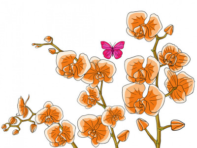 Sticker decorativ, Orhideie, 150 cm, 399STK-2 foto