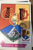 CPIF Stema cu timbru al judetului BaCAU