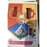 CPIF Stema cu timbru al judetului BaCAU