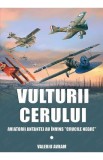 Vulturii cerului - Valeriu Avram