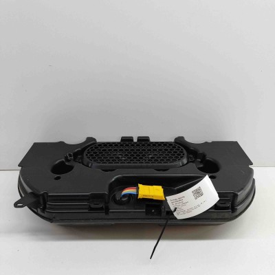 Subwoofer CITRO&amp;Euml;N C4 X BD_, BE_, BF_ 2024 OEM: 9834131280 foto