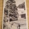 QW23 B - Carte postala - tematica turism - vedere - Romania - Baile Herculane 7