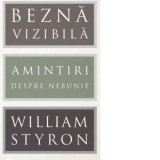Bezna vizibila. Amintiri despre nebunie - William Styron, Mihnea Gafita