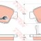 Set placute frana,frana disc HONDA JAZZ II (GD) (2002 - 2008) TRW GDB1164