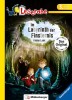 Im Labyrinth der Finsternis