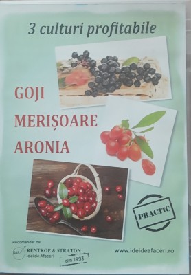 Goji Merisoare Aronia - Idei de Afaceri foto