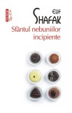 Sfantul nebuniilor incipiente - Elif Shafak - Polirom