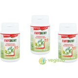 Pachet Favi Bust: 3x40cps