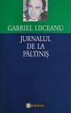 Cumpara ieftin Jurnalul de la Paltinis - 1996 - Gabriel Liiceanu (AR305)