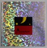 ANIMAGIA ,DES PREMIERS IMAGES AUX NOUVELLES IMAGES , 1995