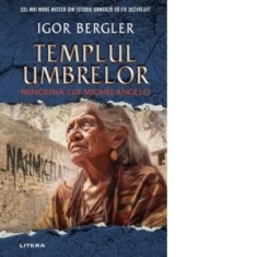 Templul umbrelor. Minciuna lui Michelangelo - Igor Bergler