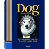Dog Portraits of Eighty-Eight Dogs and One Little Naughty Rabbit
