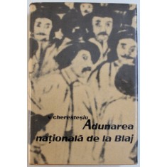 ADUNAREA NATIONALA DE LA BLAJ de V. CHERESTESLU , 1966