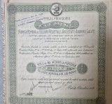Bearer share certificate Fleming Galati 1918,actiuni la purtator