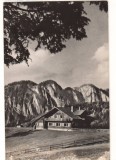 CPIB 22572 - CARTE POSTAL - PREDEAL. CABANA &quot;POIANA SECUILOR&quot; RPR