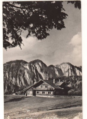 CPIB 22572 - CARTE POSTAL - PREDEAL. CABANA &amp;quot;POIANA SECUILOR&amp;quot; RPR foto