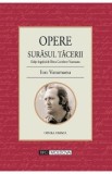 Surasul tacerii - Ion Vatamanu