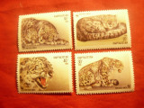 Serie Kirghiztan 1994- Fauna - Feline , 4 valori, Nestampilat