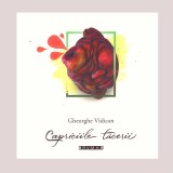 Gheorghe Vidican - Capriciile tacerii - 136052