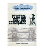 James Greenwood - Povestea unui mic zdrentaros - 106786