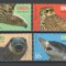 Romania 2017 - LP 2145 nestampilat - Specii periclitate - serie