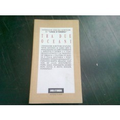TRA DUE OCEANI - COLECTIV DE AUTORI (CARTE IN LIMBA ITALIANA)