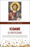 Icoane și emoticoane - Paperback brosat - Emanoil Băbuș - Sophia