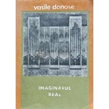 Imaginarul real - 1990 - Vasile Donose (AJ98)