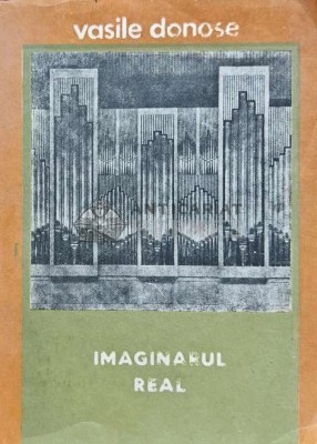 Imaginarul real - 1990 - Vasile Donose (AJ98) foto