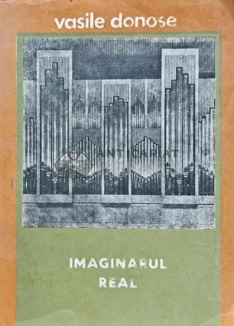 Imaginarul real - 1990 - Vasile Donose (AJ98)