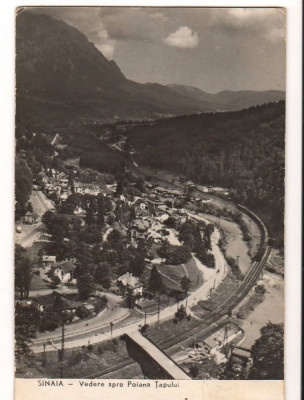 CPI B14204 CARTE POSTALA - SINAIA. VEDERE SPRE POIANA TAPULUI, R.P.R. foto