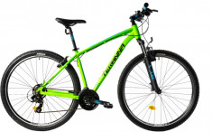 Bicicleta Mtb Dhs Terrana 2923 L Verde 29 Inch foto