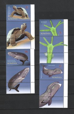 ROMANIA 2023 - CAMPIONII LONGEVITATII, VINIETA 2, MNH - LP 2440 foto