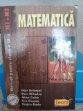 Matematică. M1 + M2. Clasa a IX-a. Br&acirc;nzei, Mihalcea, Caba. 1999