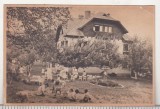 bnk cp Breaza - Colonie de copii - uzata 1956 - Libraria noastra