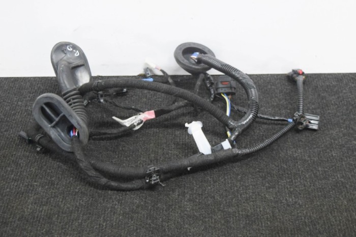 Cablaj ușă dreapta spate TESLA MODEL 3 2018 OEM: 2067966-00-A 11256047