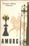 Cumpara ieftin Amurg - Georgeta Mircea Cancicov