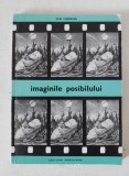 IMAGINILE POSIBILULUI. FILMUL STIINTIFICO-FANTASTIC, ION HOBANA