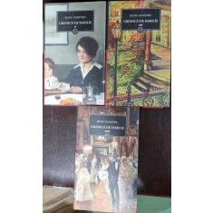 CRONICA DE FAMILIE - PETRU DUMITRIU 3 VOLUME