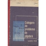 Culegere de exercitii si probleme de algebra pentru licee (1971)