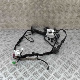 Cablaj ușă dreapta spate MERCEDES-BENZ S W222, V222, X222 2015 OEM: A2225403911 30468300