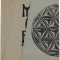 Miorita (mit Single)