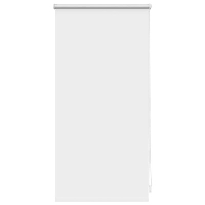 Jaluzea opaca rulabila, 40x100 cm, alb foto